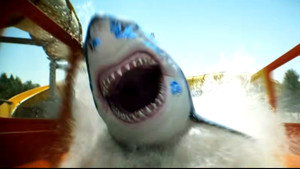 Water Park Shark 2026