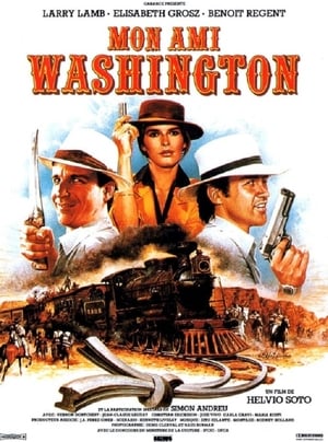 Poster Mon Ami Washington (1984)