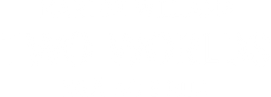 Marlon Williams: Two Worlds