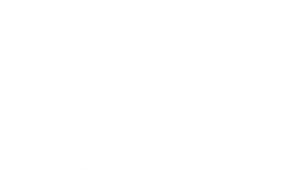 Tieta — Logos 1