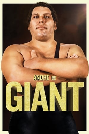 Poster Andre the Giant 2018