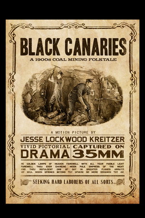 Black Canaries 6
