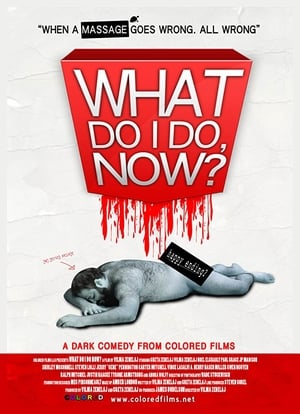 Poster What Do I Do Now? (2009)