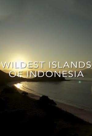 Wildest Islands of Indonesia poster