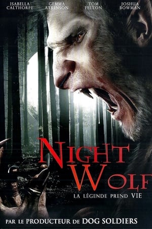 Image Night Wolf