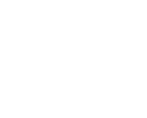 Fireworks — Logos 4