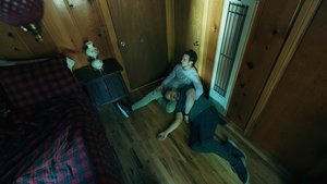 Shadows of Willow Cabin