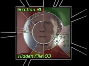 Image Section 31: Hidden File 03 (S01)