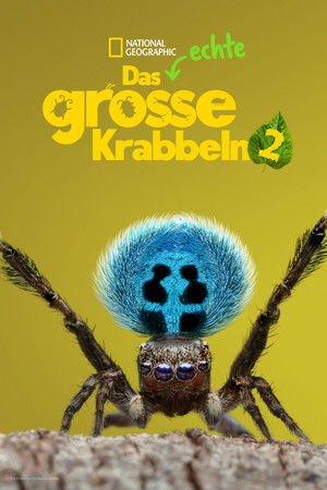 Das echte große Krabbeln: Staffel 2