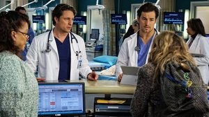 Grey’s Anatomy 13 x Episodio 14