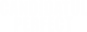 The Perfect Candidate — Logos 2