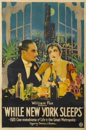 Poster While New York Sleeps (1920)