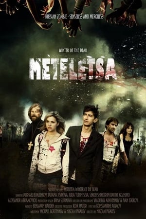 Poster Winter of the Dead. Meteletsa (2012)