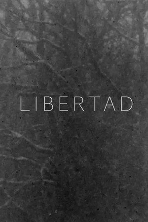 Libertad 13