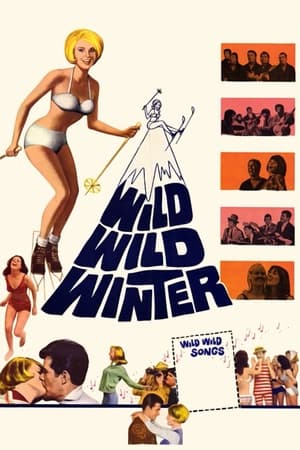 Poster Wild, Wild Winter 1966