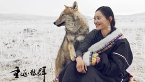 مشاهدة مسلسل Return to the Wolves 10th Anniversary Special مترجم أون لاين بجودة عالية