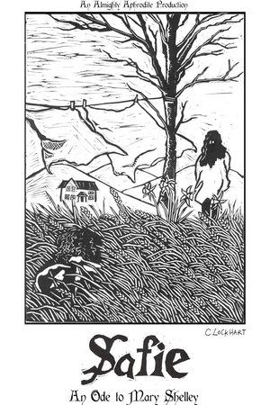 Affiche de Safie