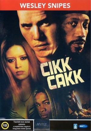 Poster Cikkcakk 2002