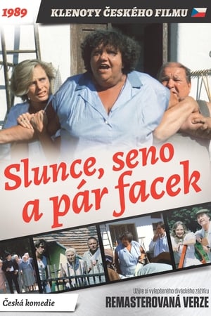 Poster Slnko, seno a pár faciek 1989