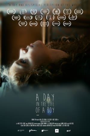 Poster A Day in the Life of a Boy (2020)