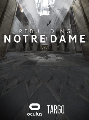 Poster Rebuilding Notre Dame (2020)