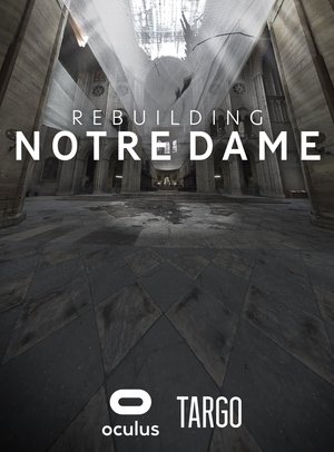 Image Rebuilding Notre Dame