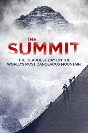 Poster The Summit - Gipfel des Todes 2013