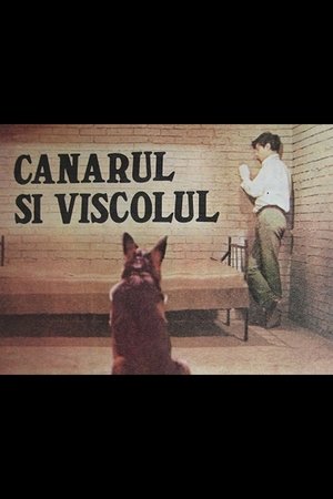 Image Canarul și viscolul