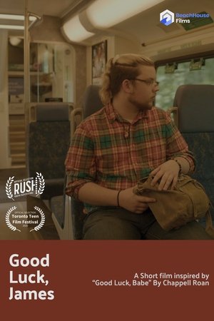 Póster oficial de la película Good Luck, James