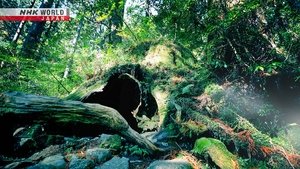 Journeys in Japan: 14×29