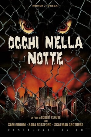 Image Occhi nella notte