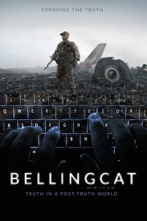 Poster Bellingcat: Truth in a Post-Truth World 2018