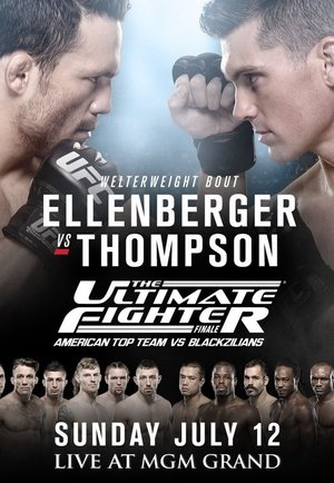 Poster The Ultimate Fighter 21 Finale (2015)