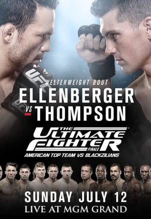 Poster The Ultimate Fighter 21 Finale 2015