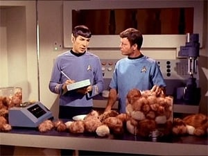 Los Tribbles y sus tribulaciones