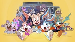 poster Tiny Toons Looniversity