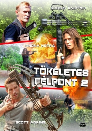 Poster Tökéletes célpont 2. 2016