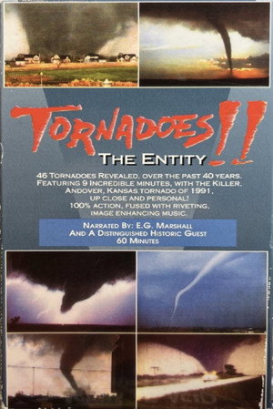 Image Tornadoes!! The Entity
