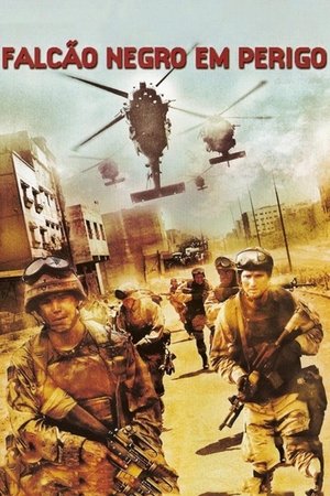 poster Black Hawk Down