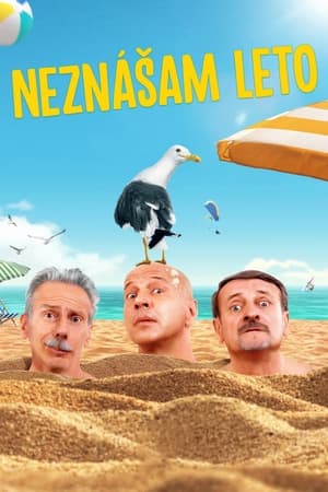 Image Neznášam leto