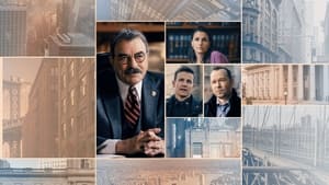 poster Blue Bloods