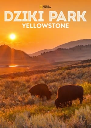 Image Dziki park Yellowstone