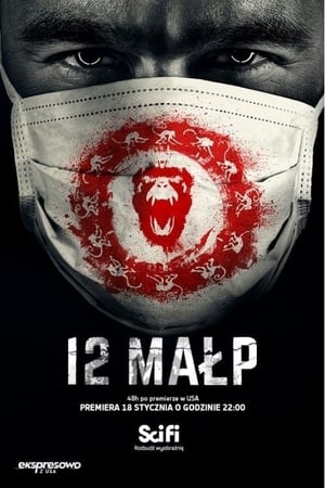 12 Małp