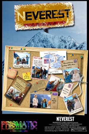 Poster N’Everest (2020)