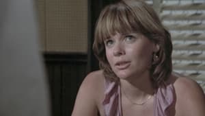 Polizeirevier Hill Street: 3×4