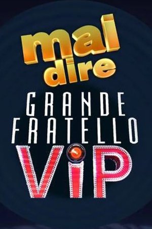 Image Mai dire Grande Fratello VIP