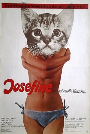 Image Josefine - das liebestolle Kätzchen