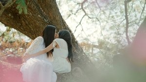 My Marvellous Dream Is You ( 2024 )