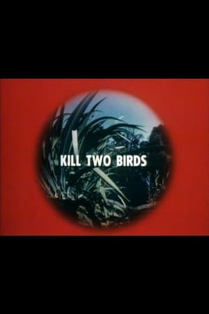 Poster Kill Two Birds 1975