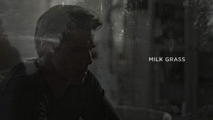 Milk Grass 24